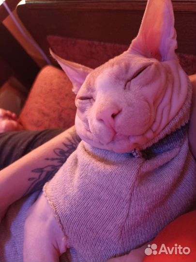 Ищем невесту