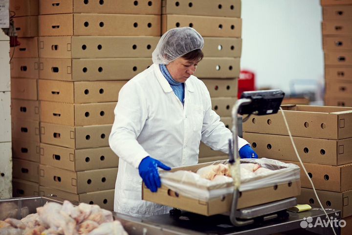 Ищем сотрудников на птицефабрику вахтовым методом