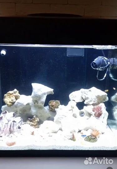 Морской аквариум Red sea 120 л