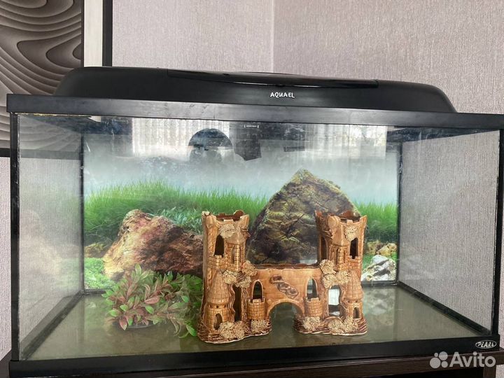 Аквариум