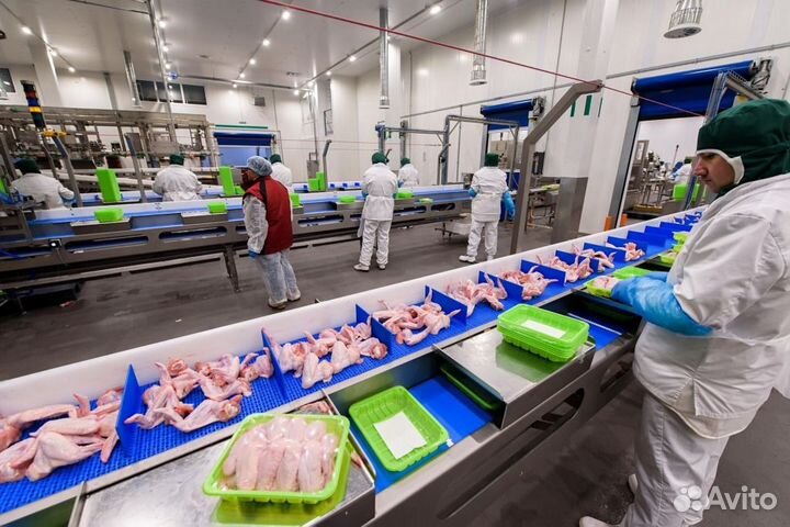 Укладчик упаковщик в цех.Работа вахтой проживание