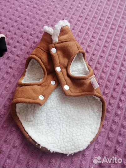 Одежда для маленьких собак