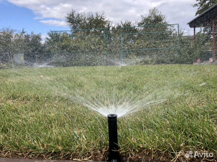 Газон рулонный Стандарт