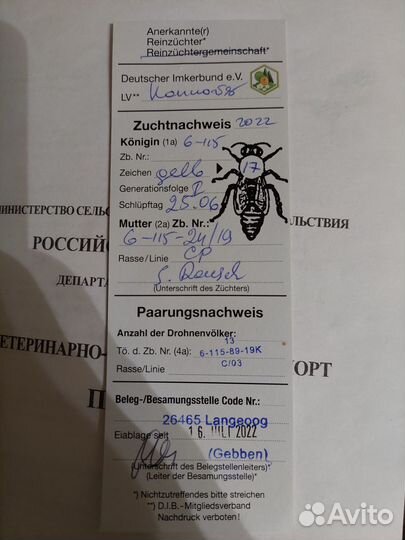 Пчеломатки f1 карника бакфаст пчелопакеты