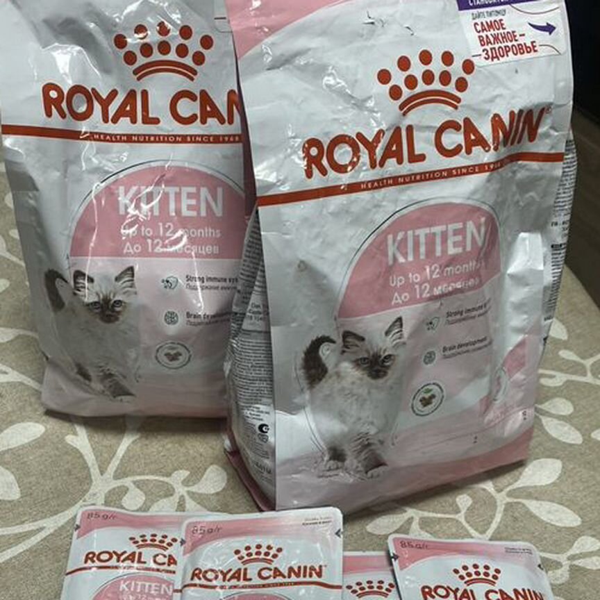 Корм для котят royal canin