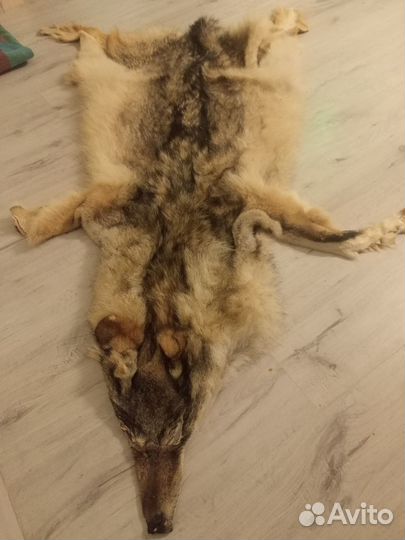Продам шкуру волка
