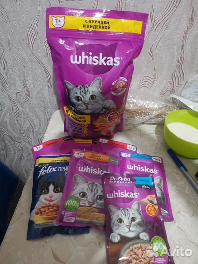 Миски для кошек + корм в подарок