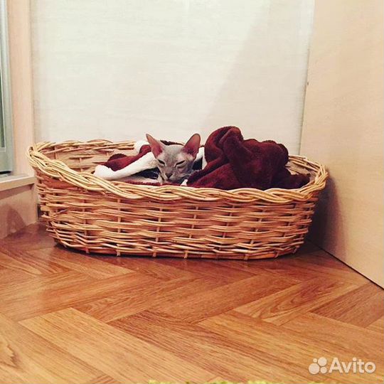 Плетеные корзинки из ивы, плетение из лозы