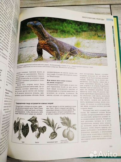 Большая книга Азбука природы Ридерз Дайджест