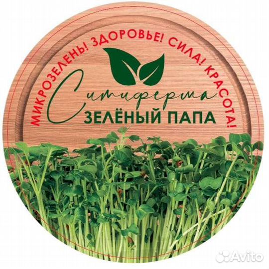 Микрозелень