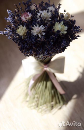 Лаванда с гелихризумом