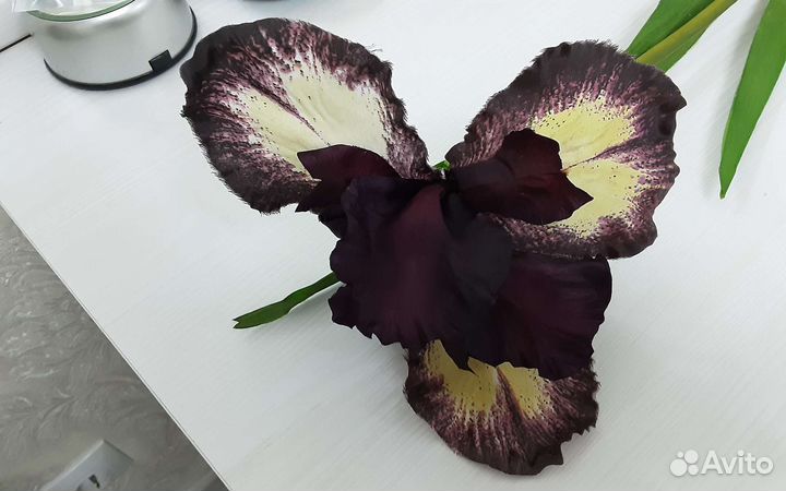 Ирис искусственный