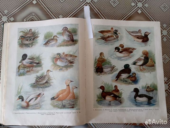 Настольная книга охотника спортсмена