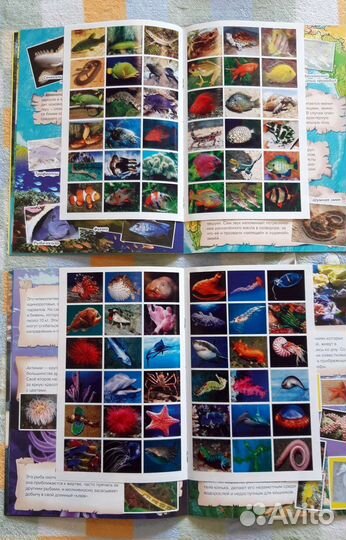 Подводный мир Атлас для детей с наклейками