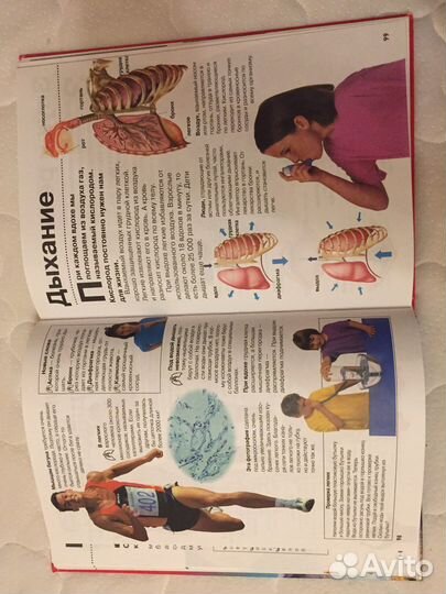 Детская энциклопедия