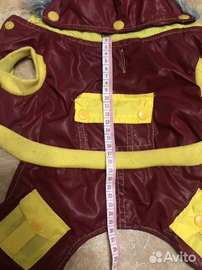 Одежда для собак