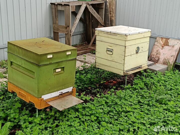 Пчелы, улья, медогонка, рамки. Пасека