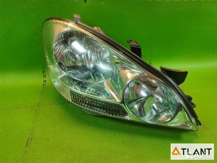 Фара передняя правая toyota ipsum