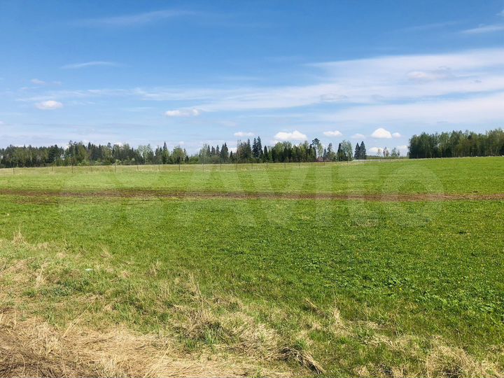 Участок 2,5 га (СНТ, ДНП)