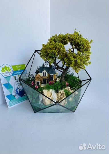 Флорариум. Не требует ухода. Моссариум в наличии