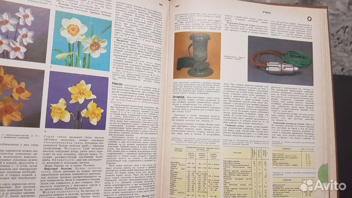 Краткая энциклопедия домашнего хозяйства