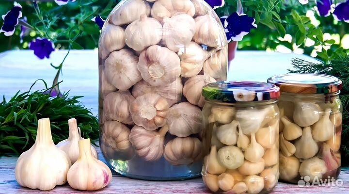 Маринованный чеснок оптом