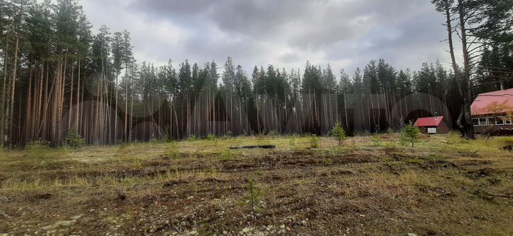 Участок 16 сот. (ИЖС)