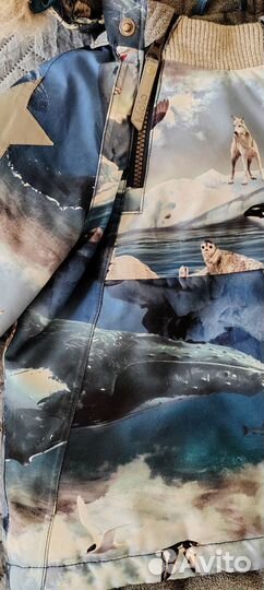 Куртка зимняя Molo 98