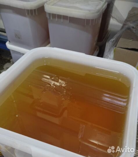 Свежий мёд акация Качка 2023 г опт
