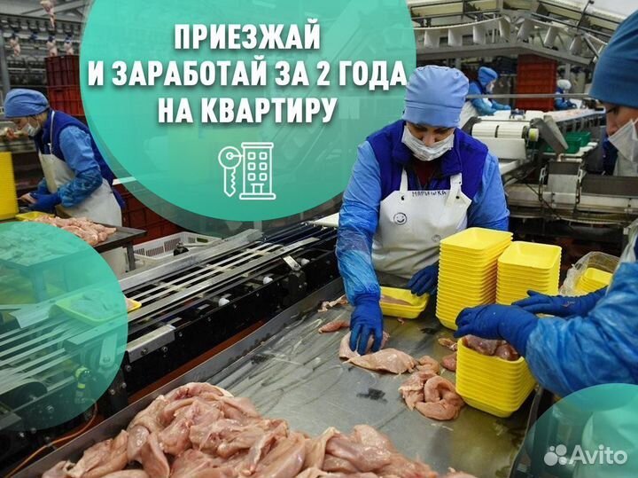 Специалист производства вахта питание + проживание