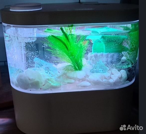 Аквариум экологический 2 литра
