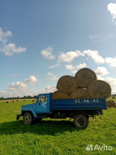 Сено свежее