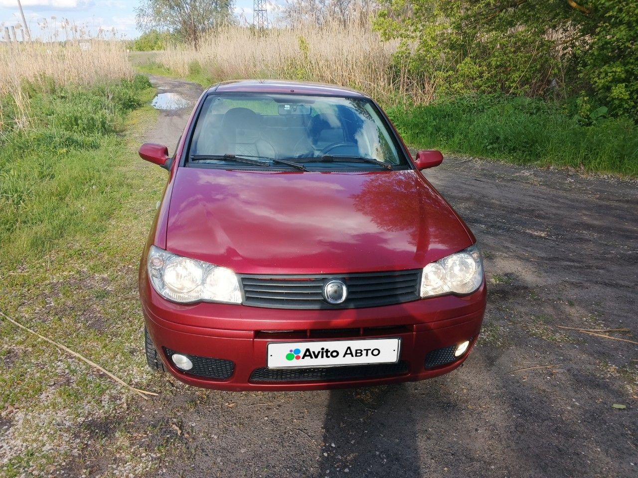 FIAT Albea: фото владельца