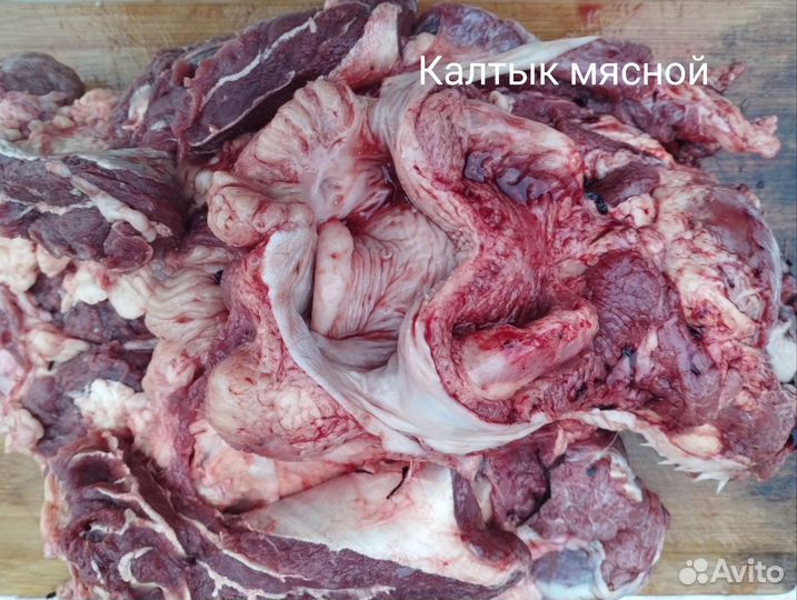 Говядина, свинина для любимых питомцев