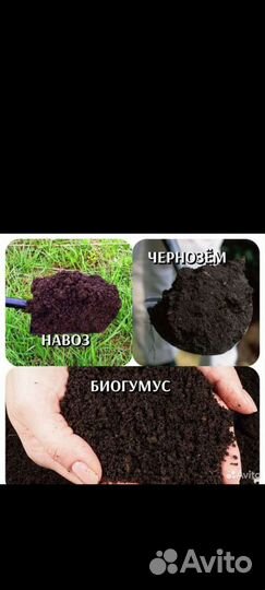 Продаю навоз перегной конски и коровяк в мешках