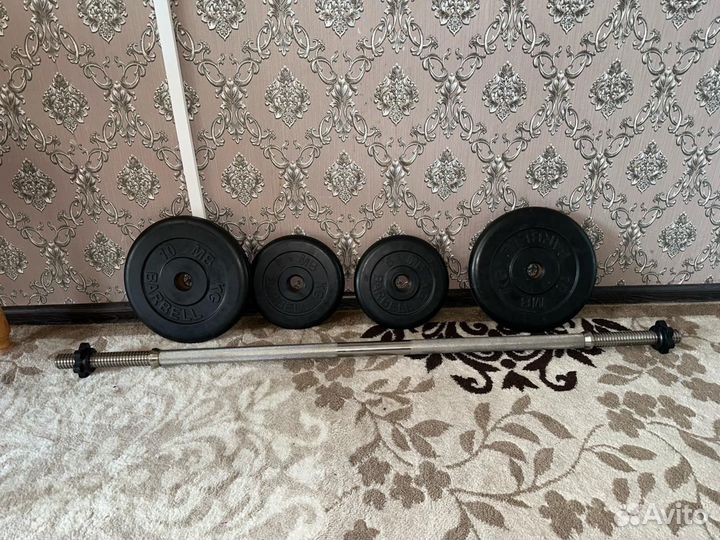 Штанга с блинами