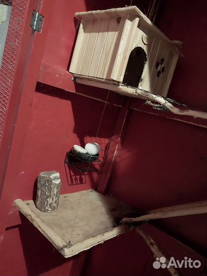 Деревянная клетка. Уместен торг