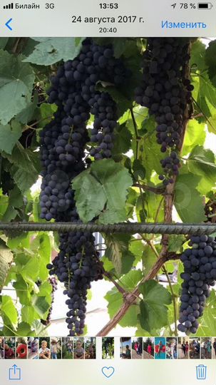 Коттедж 124,3 м² на участке 15 сот.