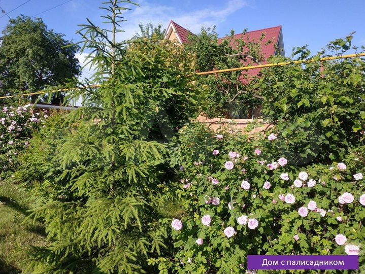 Дом 244 м² на участке 12 сот.