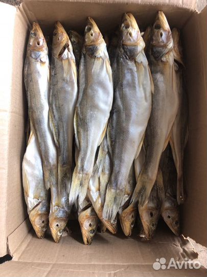 Рыба / от производитель