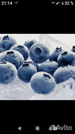 Черника заморозка в розницу и оптом