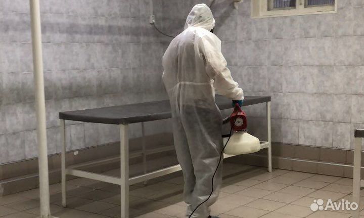 Уничтожение тараканов блох клещей клопов