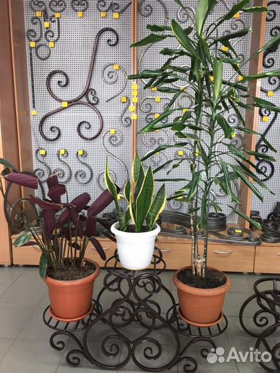 Подставки для цветов