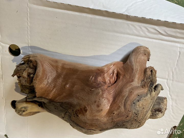 Коряги аквариум террариум дрифт вуд морской топляк