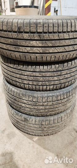 Nordman SX3 195/65 R15