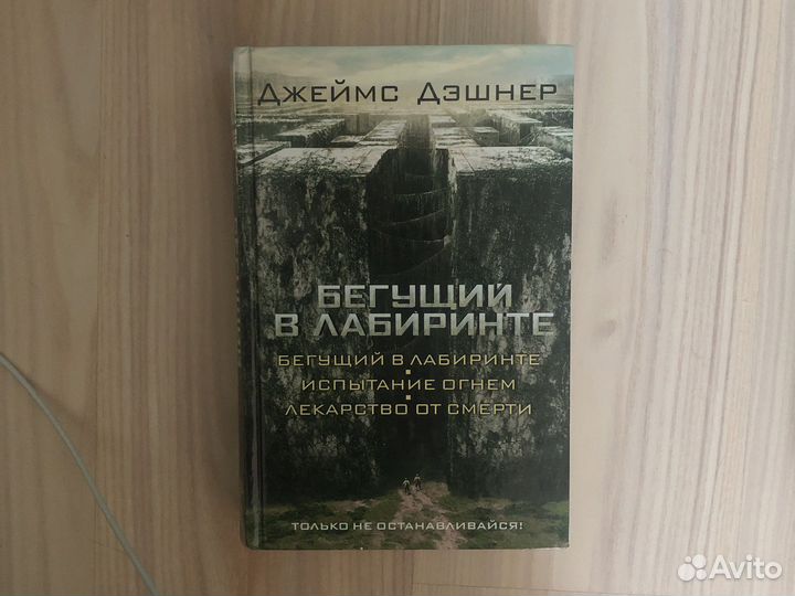 Книга бегущий в лабиринте