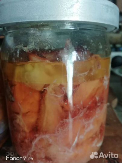 Тушенка домашняя куриная, свиная, индюшиная