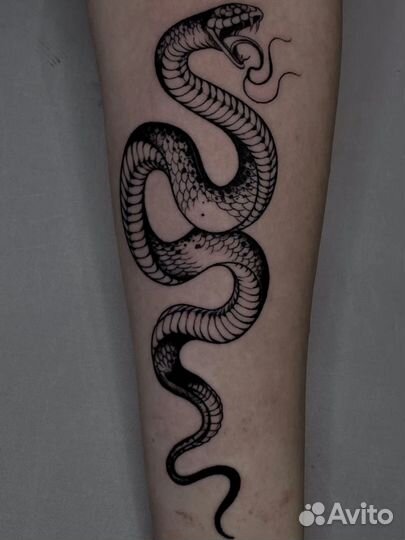 Tatto,Ищу моделей на татуировки