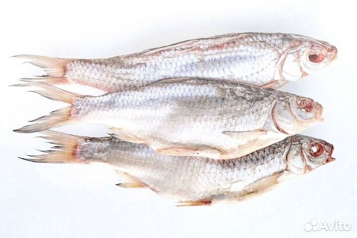 Икра воблы из Астрахани