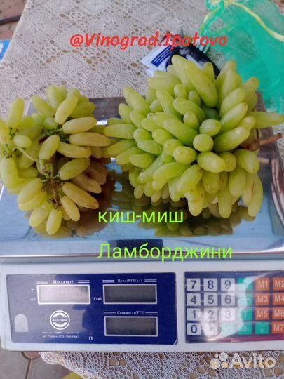 Саженцы винограда